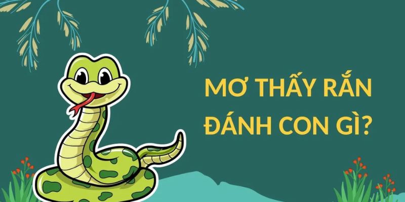 Giải đáp thắc mắc nằm mơ thấy rắn đánh số gì